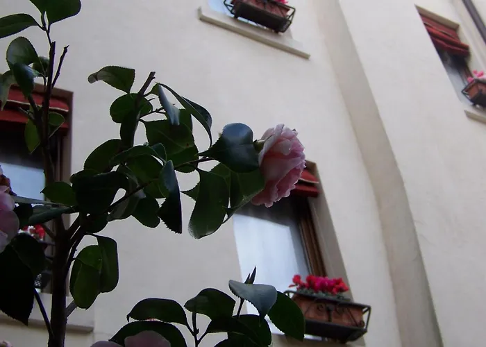 Guest House Delizia Estense